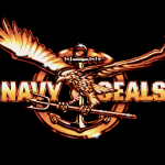 Navy SEALs Killed