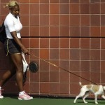 Dog Jackie Serena Williams